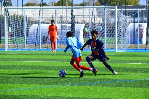 DSC 0038 (1) (1) (1) (1)
