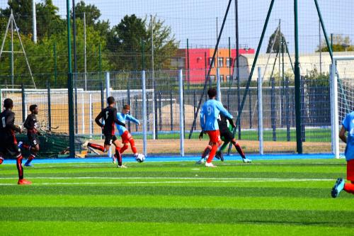 DSC 0470 (1) (1) (1)