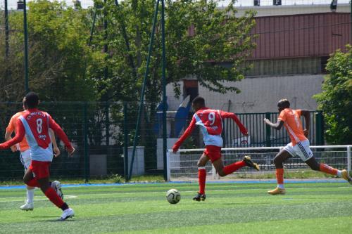 DSC 0881 (1) (1)