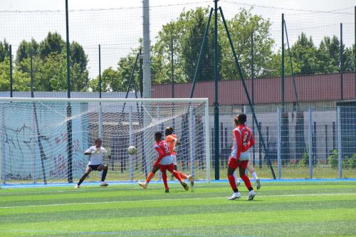 DSC 0882 (1)