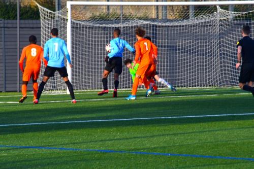 DSC 0027 (1) (1)
