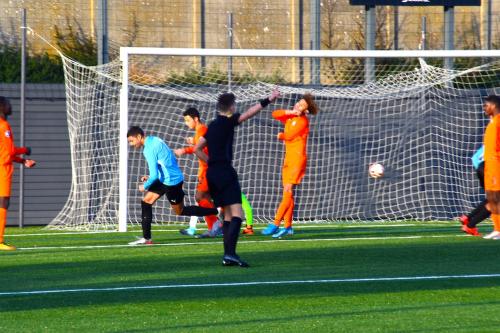 DSC 0031 (1) (1) (1) (1) (1)