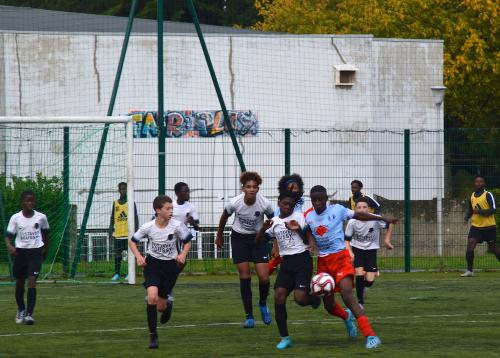 DSC 0041 (1) (1)