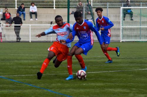 DSC 0051 (1)