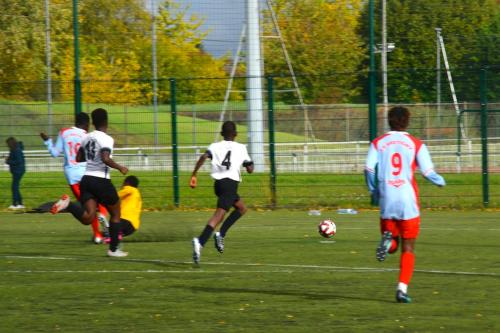 DSC 0065 (1) (1)