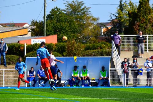 DSC 0067 (1) (1) (1)
