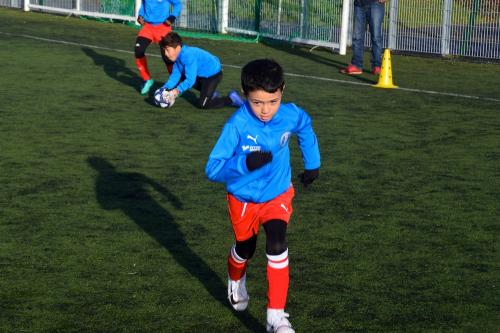 DSC 0102 (1)