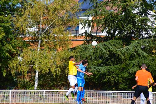 DSC 0112 (1) (1) (1) (1)