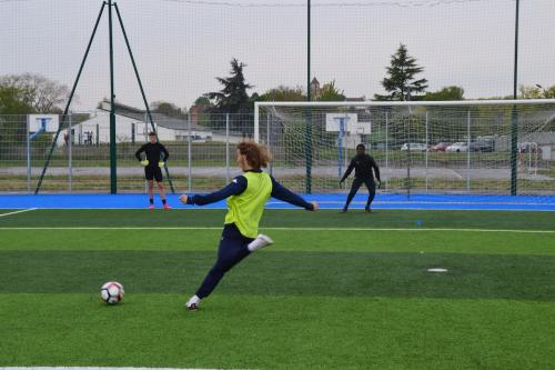 DSC 0113 (1) (1) (1) (1) (1) (1) (1)