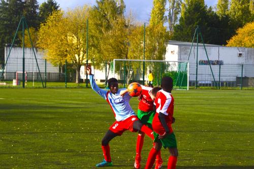 DSC 0117 (1)
