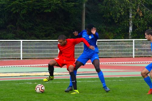 DSC 0121 (1) (1)