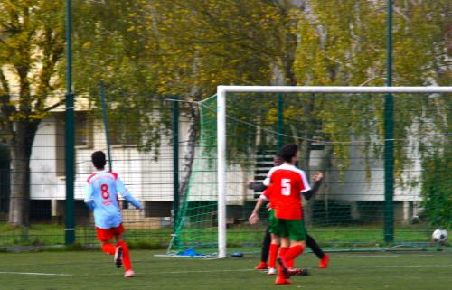 DSC 0124 (1) (1) (1)