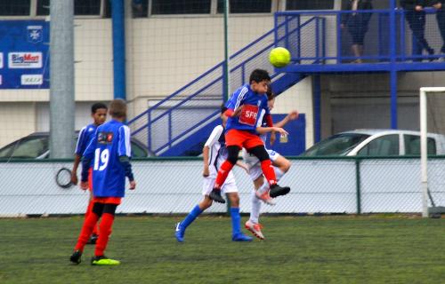 DSC 0146 (1) (1) (1)