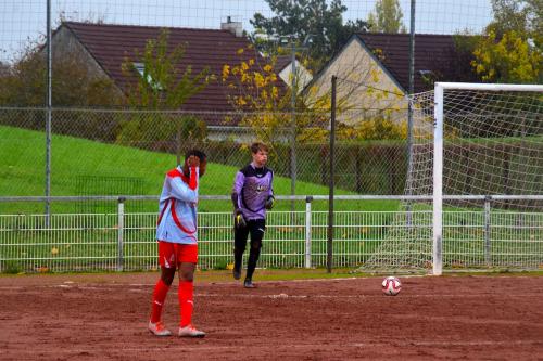 DSC 0146 (1) (1) (1) (1) (1)