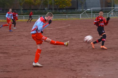 DSC 0148 (1) (1) (1)