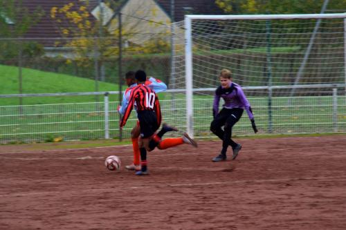 DSC 0151 (1) (1) (1) (1) (1)