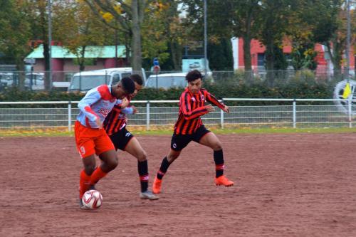DSC 0153 (1) (1) (1)
