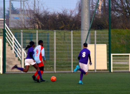 DSC 0156 (1) (1) (1)
