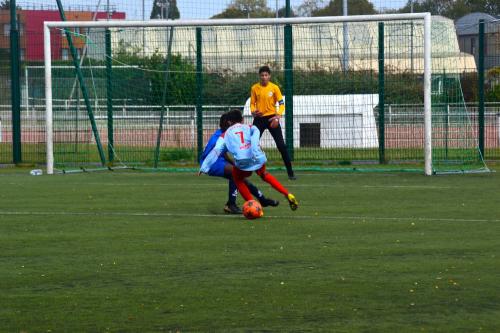 DSC 0172 (1)