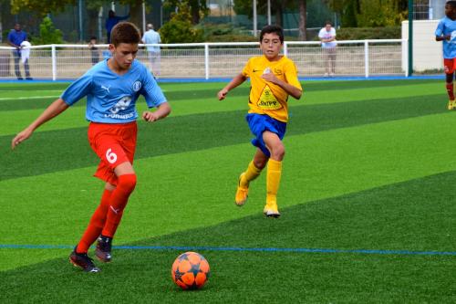 DSC 0180 (1) (1)