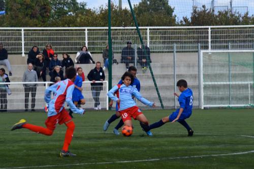 DSC 0208 (1)