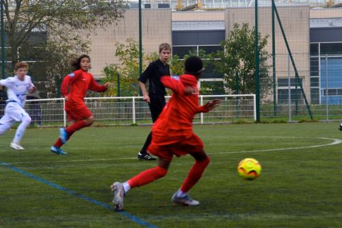 DSC 0220 (1) (1)