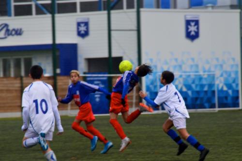 DSC 0230 (1) (1) (1)