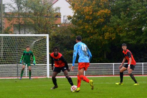 DSC 0233 (1) (1)