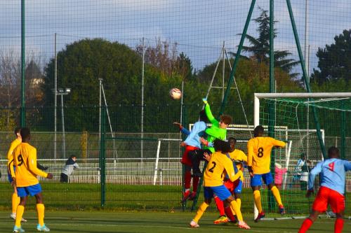 DSC 0243 (1)
