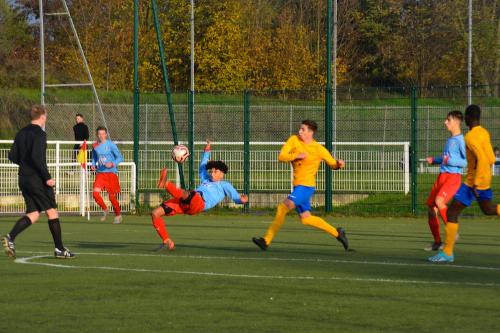 DSC 0244 (1) (1)