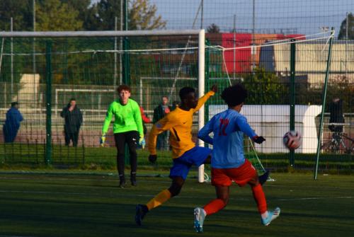 DSC 0245 (1) (1)