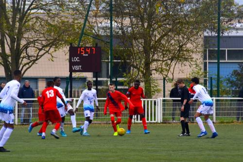 DSC 0253 (1)