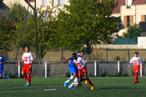 DSC 0265 (1) (1)