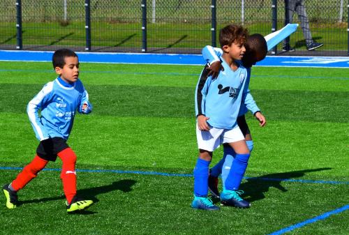 DSC 0308 (1) (1)