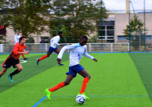 DSC 0361 (1) (1)