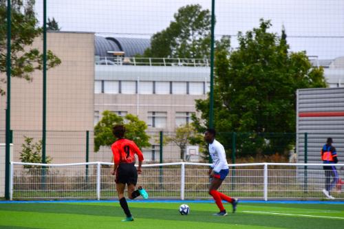 DSC 0365 (1)