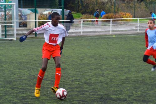 DSC 0407 (1) (1)