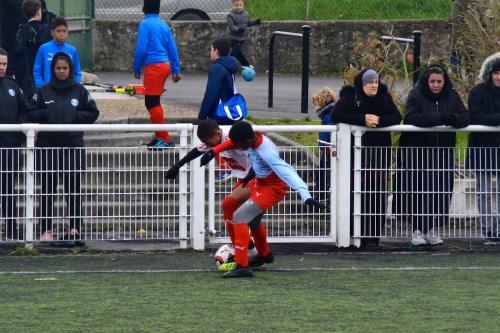 DSC 0420 (1)