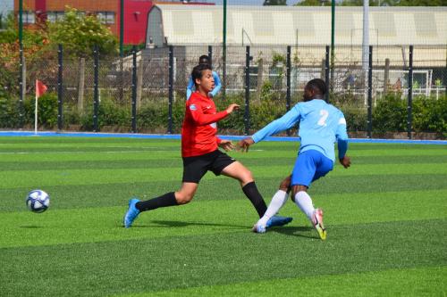 DSC 0490 (1) (1) (1) (1)