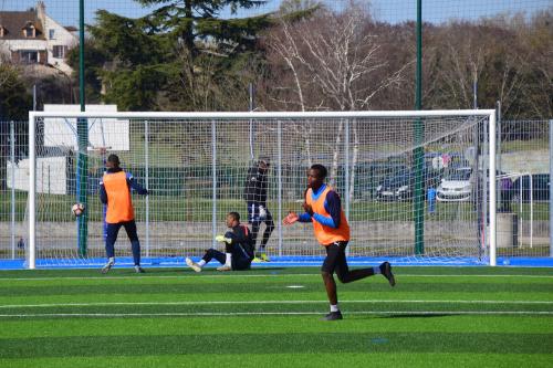 DSC 0493 (1) (1) (1) (1)