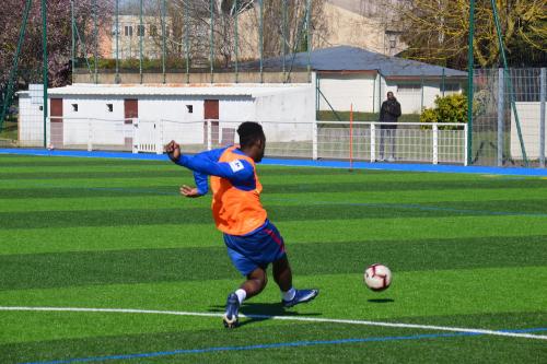 DSC 0497 (1) (1)
