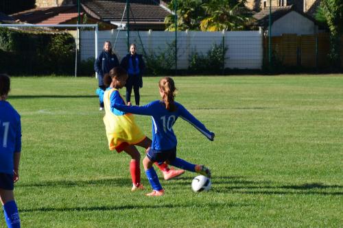 DSC 0584 (1) (1) (1)