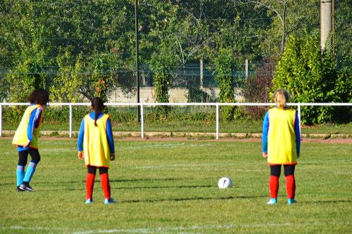 DSC 0586 (1) (1)