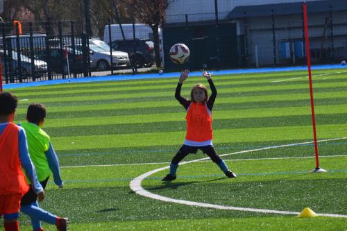 DSC 0647 (1) (1) (1)