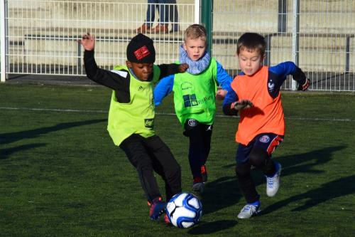 DSC 0677 (1) (1) (1)