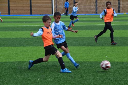 DSC 0743 (1) (1) (1)