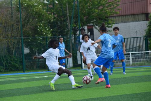 DSC 0949 (1) (1)