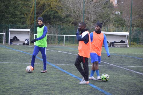 DSC 0950 (1) (1)