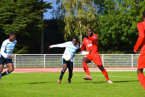DSC 0953 (1) (1)