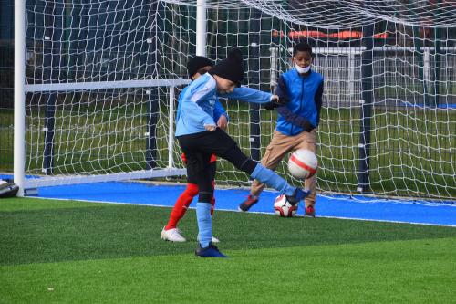 DSC 0977 (1) (1) (1) (1)